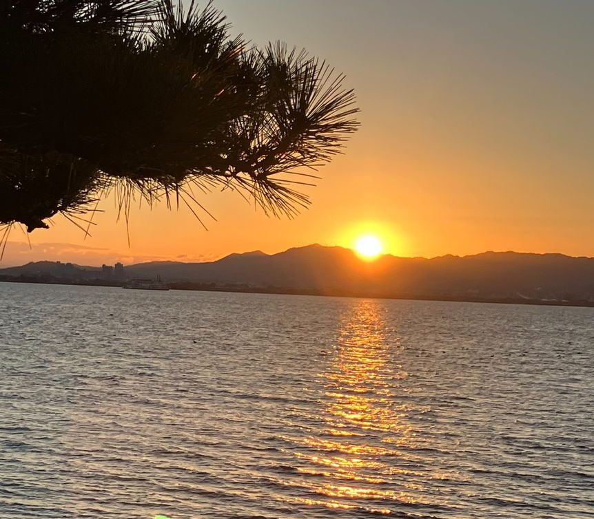 新年あけましておめでとうございます！